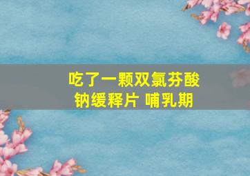 吃了一颗双氯芬酸钠缓释片 哺乳期